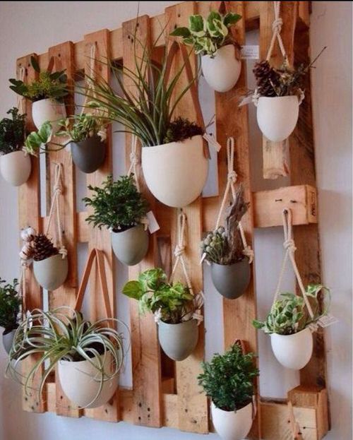 Old Wooden Boards Used to Create Brilliant Vertical Gardens 12