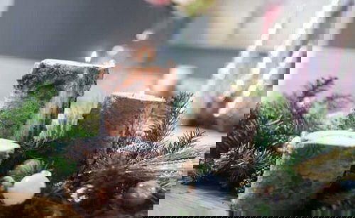 Creative Things to Do with Tree Stumps 30