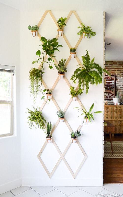 Artistic Plant Wall Art Ideas for Home DÃ©cor3