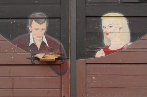 DIY Backyard Ideas in Budget 5