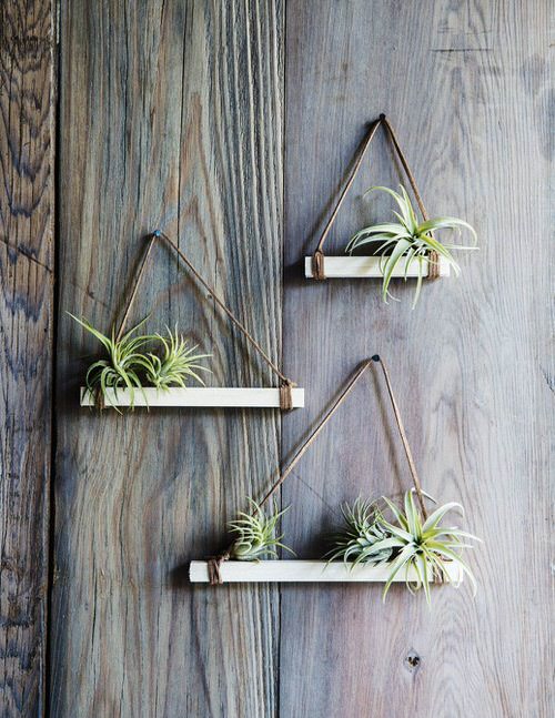"Mini Vertical Garden Ideas with Air Plants 7